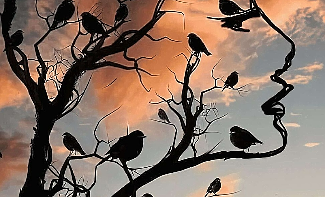 Τεστ προσωπικότητας, οπτική ψευδαίσθηση