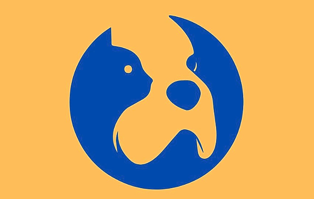 Τεστ προσωπικότητας: Αυτό που βλέπετε πρώτο στην εικόνα αποκαλύπτει αν είστε πιο δυναμικός ή πιο επιφυλακτικός