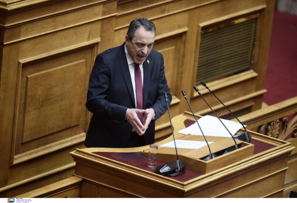 Βασίλης Στίγκας, Βουλή