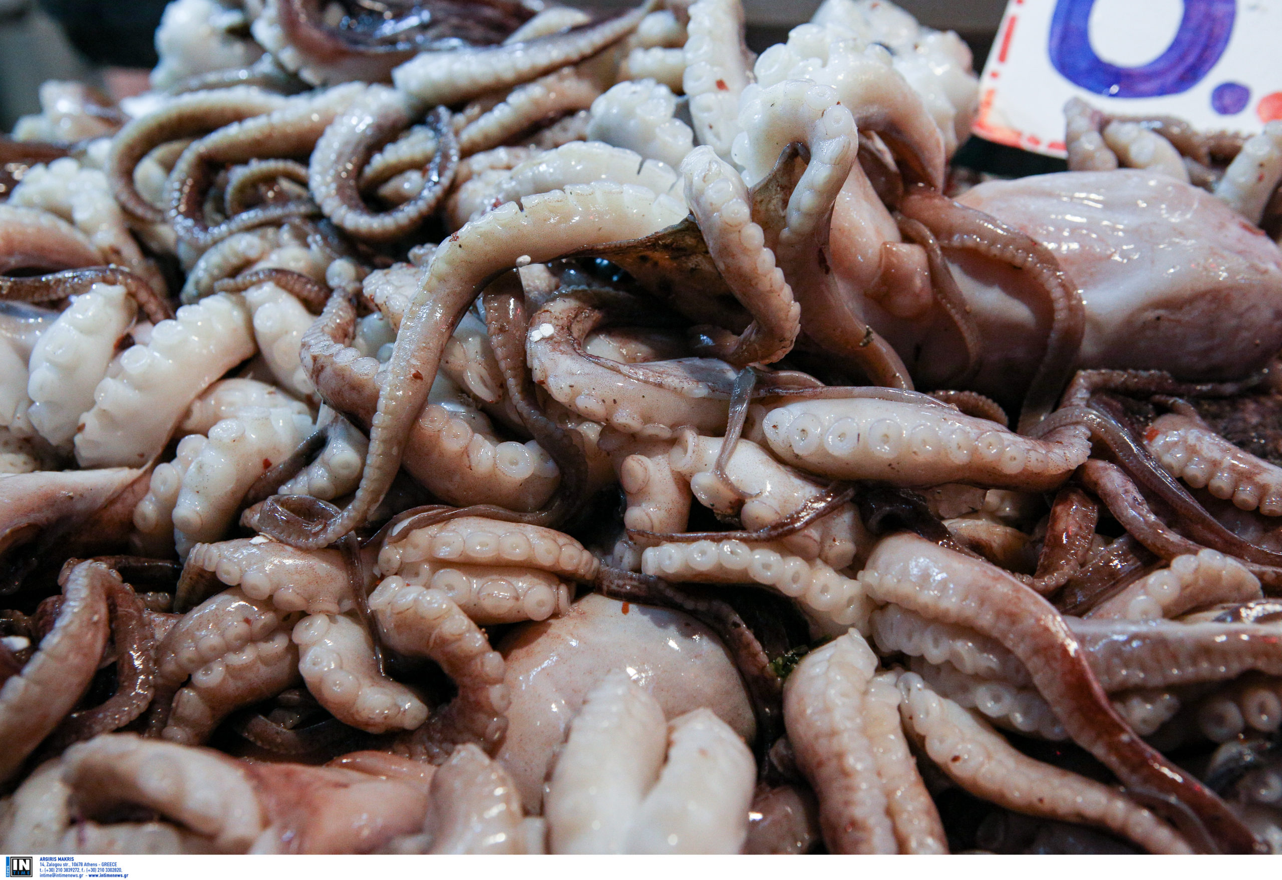 θαλασσινά σαρακοστή