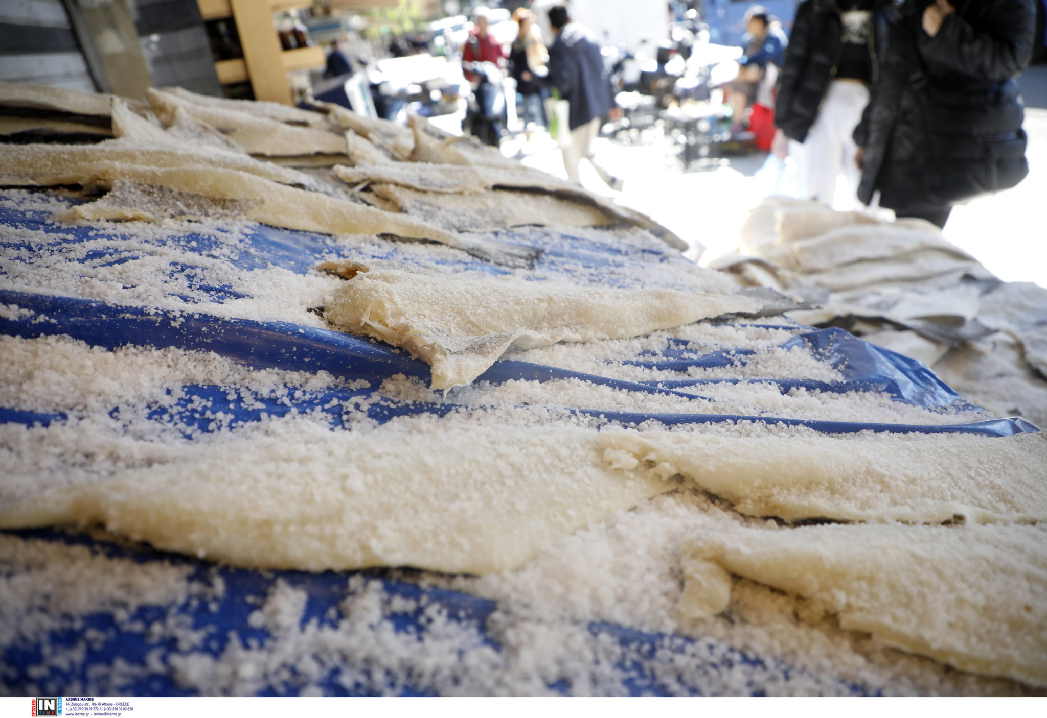 Μπακαλιάρος