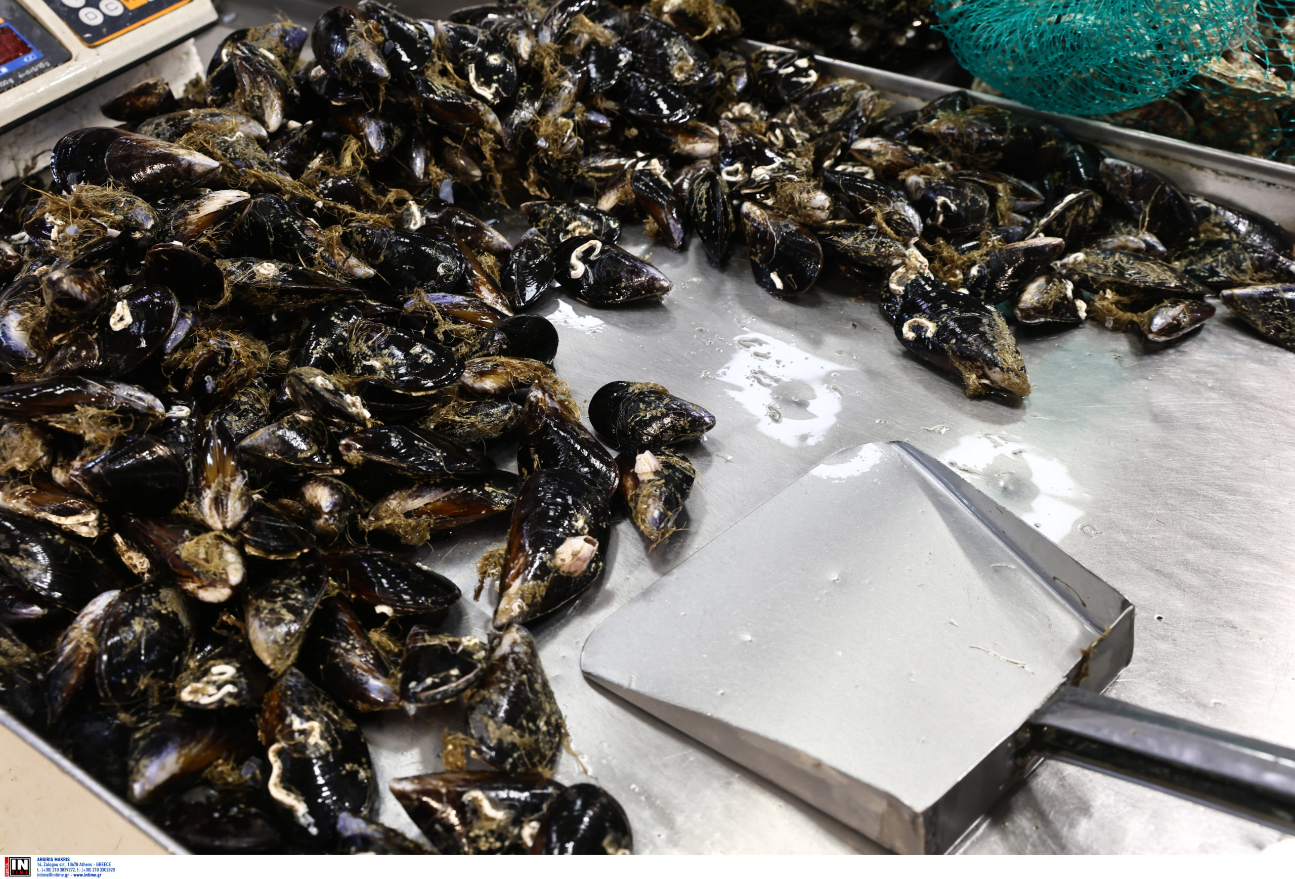 Βαρβάκειος Αγορά