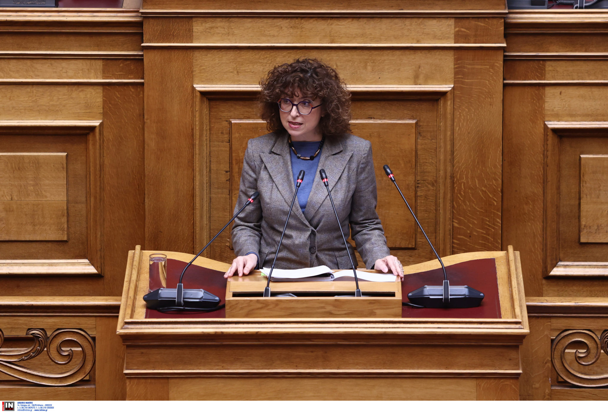 Έλενα Καραγεωργοπούλου Βουλή