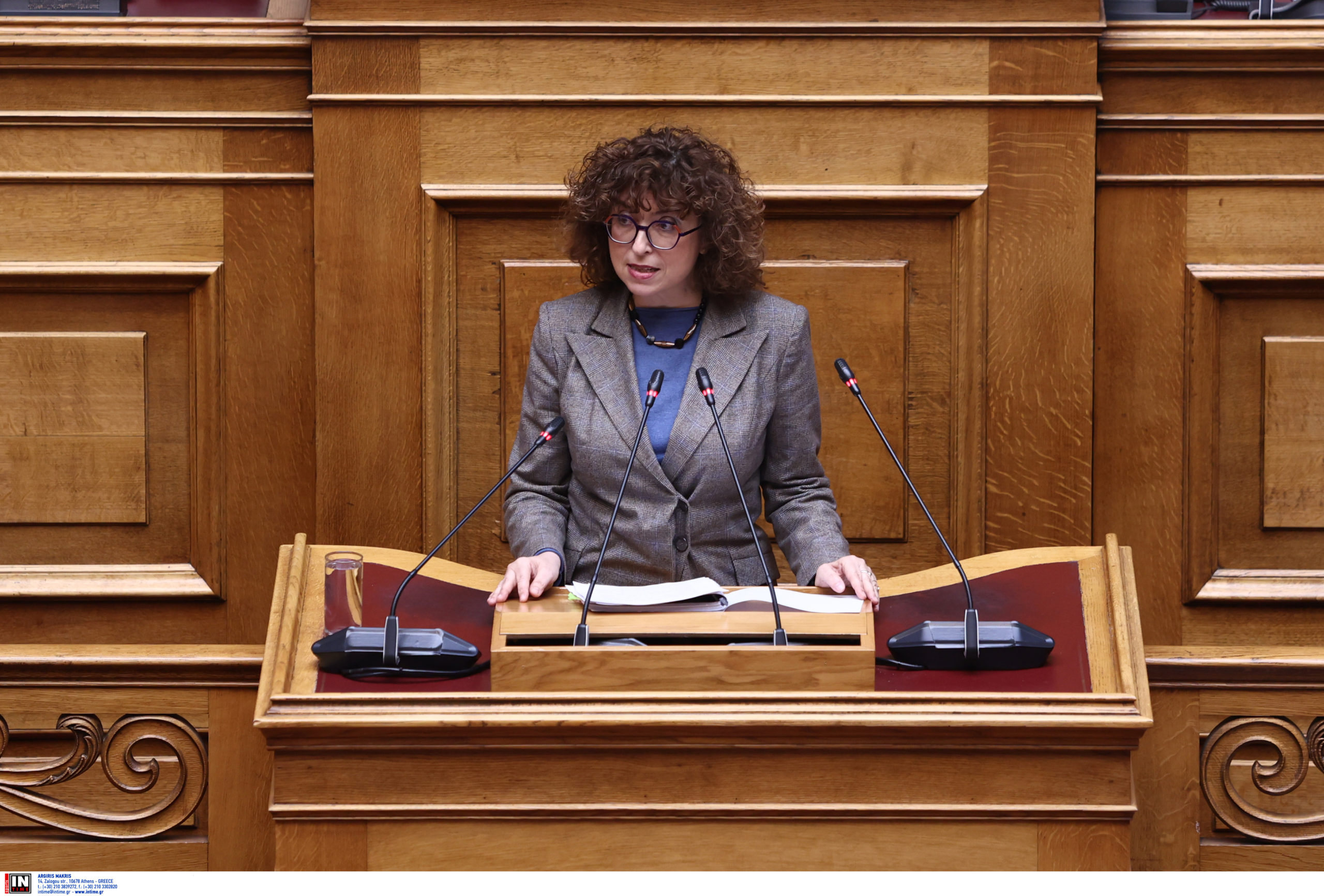 Έλενα Καραγεωργοπούλου Βουλή