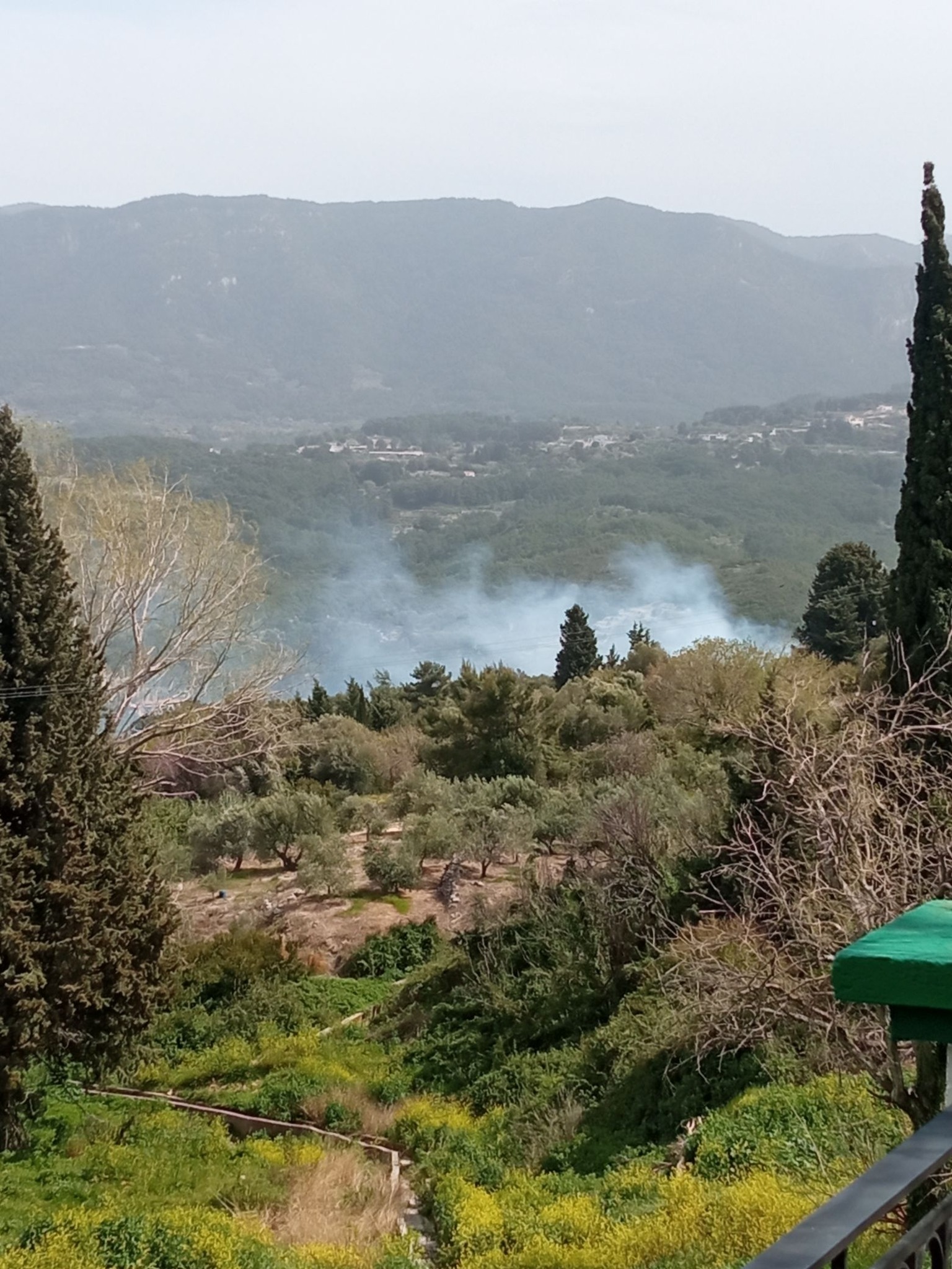Φωτιά στη Σάμο - Καίει δασική έκταση