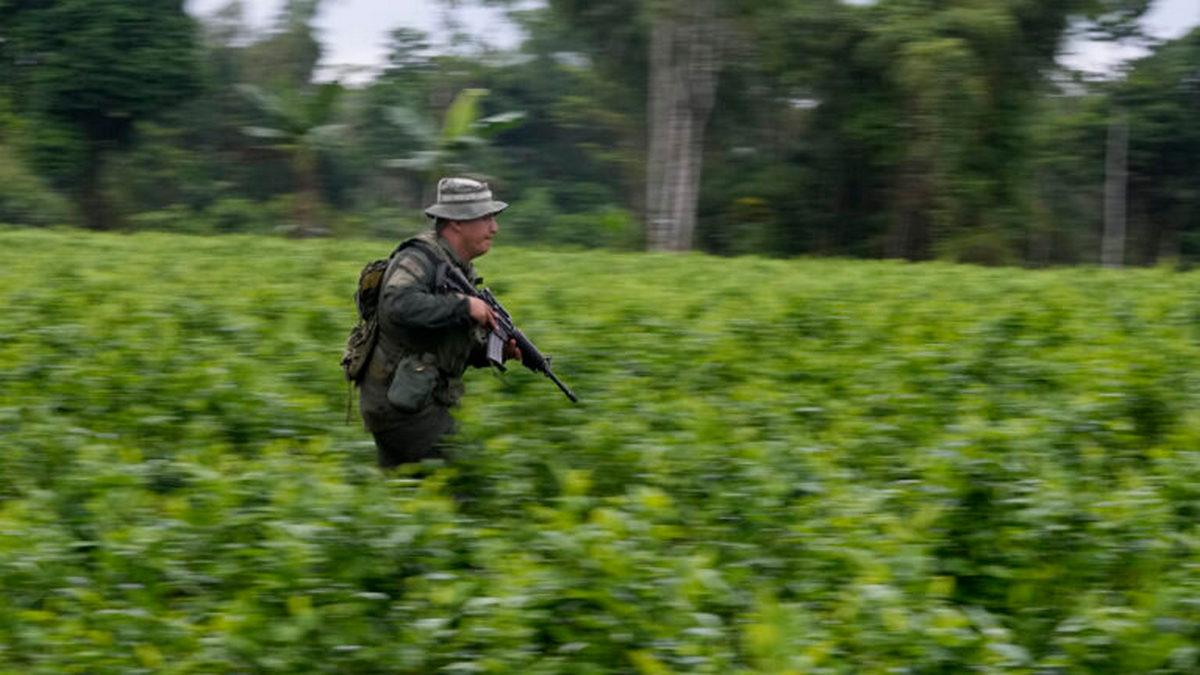 Κολομβία προς ΗΠΑ: Η εγγραφή μας σε μαύρη λίστα θα οδηγήσει σε διακίνηση μεγαλύτερων ποσοτήτων ναρκωτικών