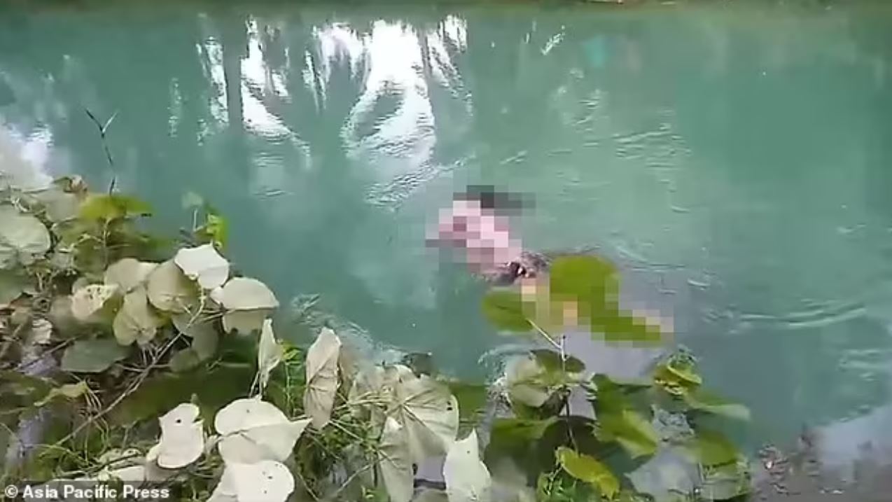 Φρίκη: Κροκόδειλος κατασπάραξε γυναίκα και περιέφερε το άψυχο σώμα της στις όχθες του ποταμού – ΒΙΝΤΕΟ