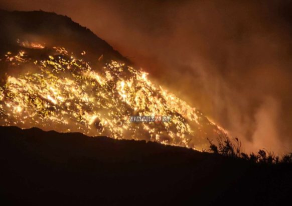 ΚΟΡΑΚΙ ΣΥΡΟΣ