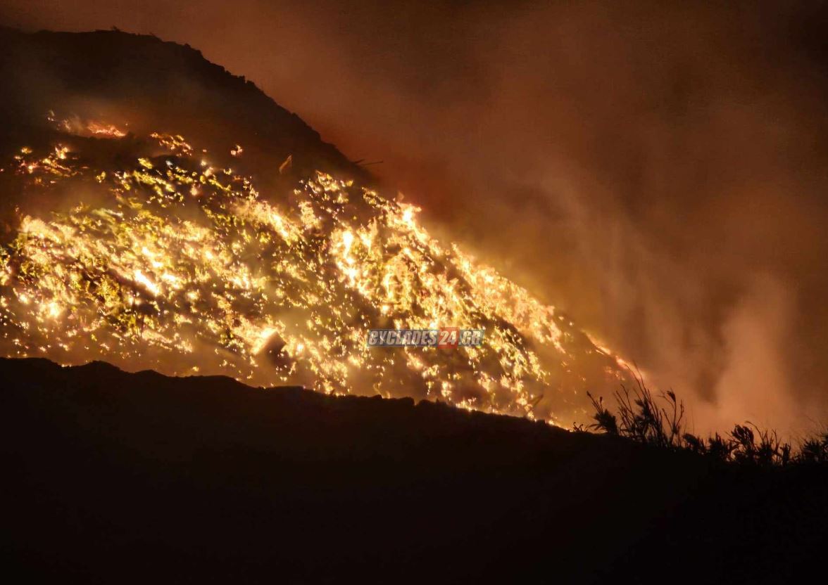 ΚΟΡΑΚΙ ΣΥΡΟΣ