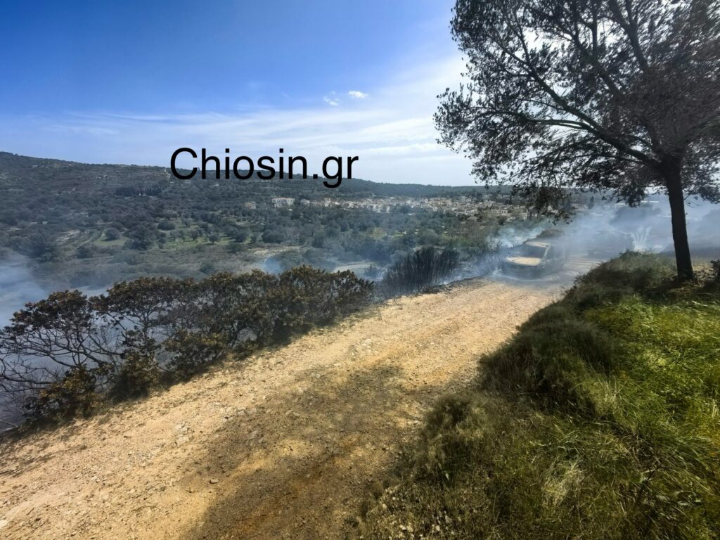 φωτιά Καλαμωτή Χίος