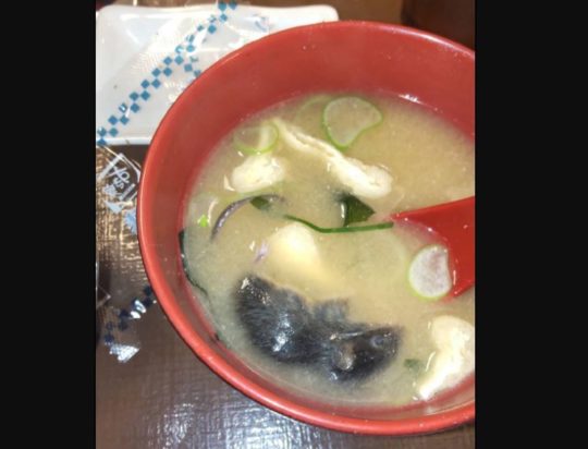 ΠΟΝΤΙΚΙ ΠΙΑΤΟ ΙΑΠΩΝΙΑ