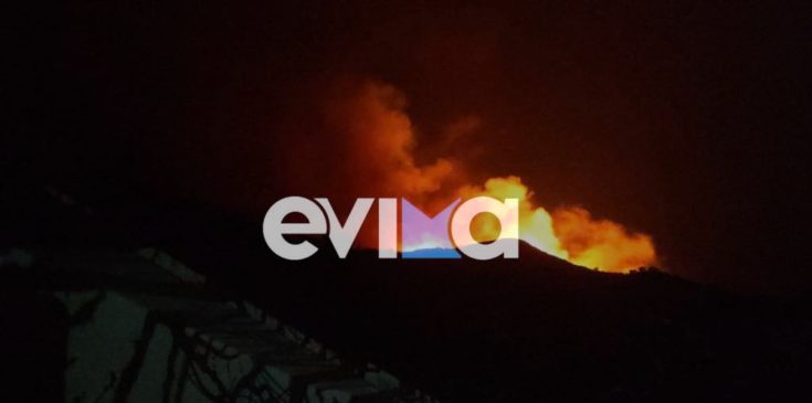 Εύβοια: Μεγάλη φωτιά σε δασική έκταση στους Καλλιανούς στην Κάρυστο