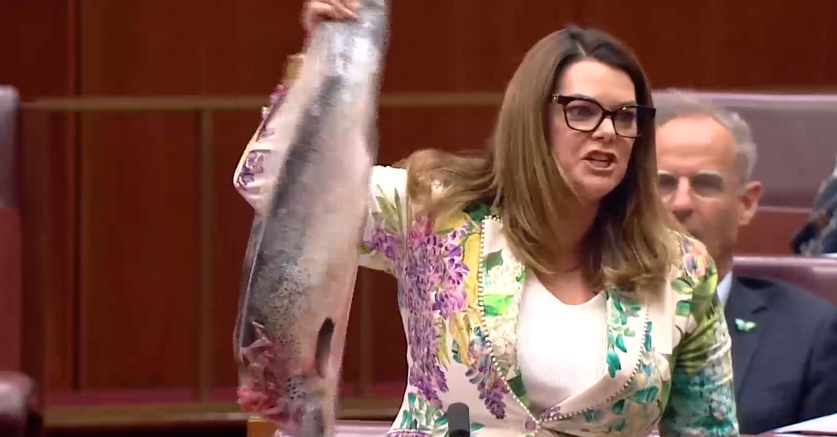 Γερουσιαστής στην Αυστραλία πήγε στη Βουλή με νεκρό σολομό σε ένδειξη διαμαρτυρίας – ΒΙΝΤΕΟ