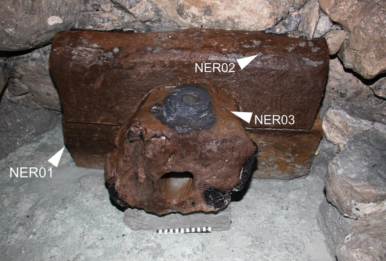 Δενδροαρχαιολογικά δείγματα στην ξύλινη εγκατάσταση του θαλάμου Oymaağaç Höyük/Nerik. Φωτογραφία: D.P. Mielke / Oymaağaç Project