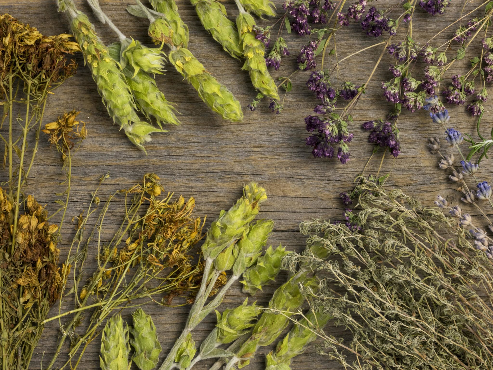 Αλτσχάιμερ: Το Νο1 βότανο που βελτιώνει τη μνήμη και μπορεί να βοηθήσει στην πρόληψη της νόσου