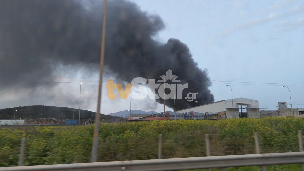 Φωτιά σε εργοστάσιο στη Ριτσώνα: Ήχησε το 112 – «Παραμείνετε σε εσωτερικούς χώρους, κλείστε πόρτες και παράθυρα»