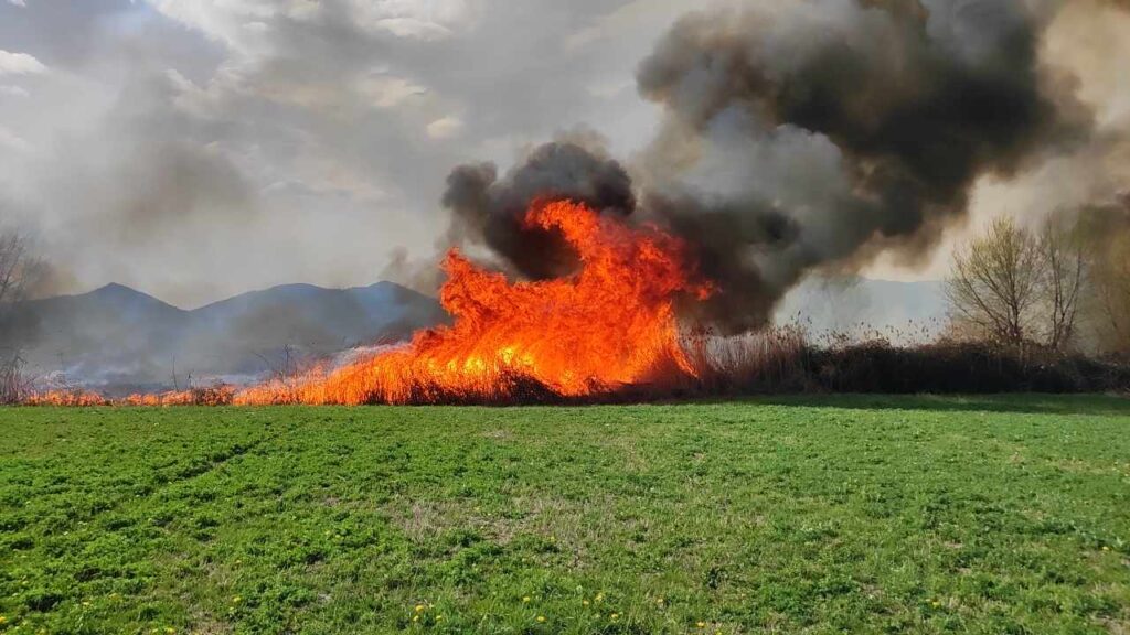 Καστοριά: Φωτιά ανάμεσα στα χωριά Φωτεινή και Πολυκάρπη – ΒΙΝΤΕΟ