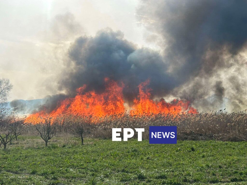 Μάχη με τις φλόγες στην Καστοριά: Δύο ενεργά πύρινα μέτωπα – Ενισχύθηκαν οι πυροσβεστικές δυνάμεις