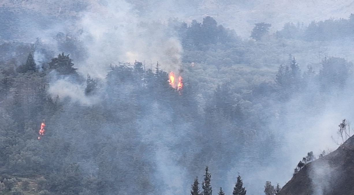 Φωτιά στα Χανιά: Ενισχύθηκαν οι πυροσβεστικές δυνάμεις – «Οι άνεμοι μας δυσκολεύουν πολύ» – ΦΩΤΟ και ΒΙΝΤΕΟ