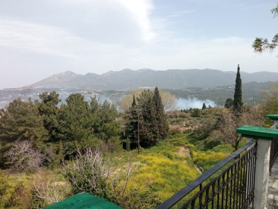 Φωτιά στη Σάμο - Καίει δασική έκταση