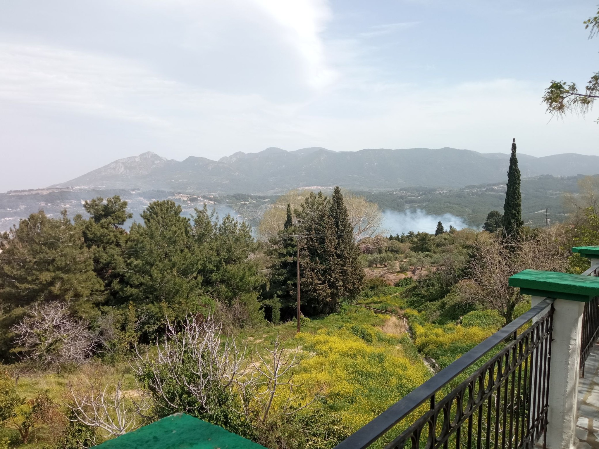 Φωτιά στη Σάμο - Καίει δασική έκταση