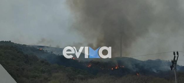 Κάρυστος: Καλύτερη η εικόνα της φωτιάς – Επιχειρεί ελικόπτερο