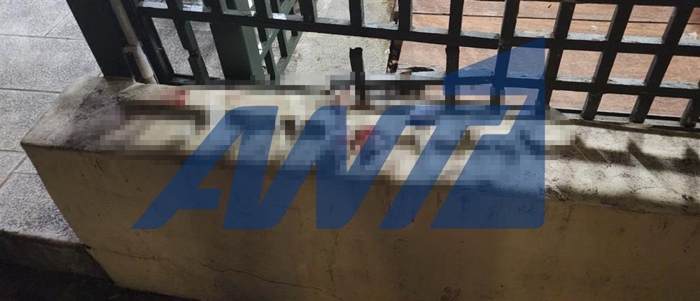 Κηφισιά: Βίντεο ντοκουμέντο από την επίθεση που δέχτηκαν ανήλικοι από ομάδα 10 ατόμων – Τι λέει ο πατέρας του 17χρονου που τραυματίστηκε