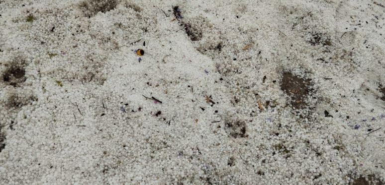 Κακοκαιρία: Καταστροφική χαλαζόπτωση στο Κρυονέρι Ήλιδας – Μεγάλες ζημιές σε καλλιέργειες – ΦΩΤΟ