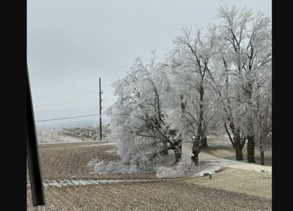 ΟΝΤΑΡΙΟ ΧΙΟΝΟΘΥΕΛΛΑ