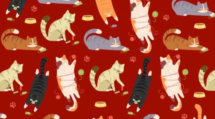 Οπτική ψευδαίσθηση: Μόνο αν έχεις αετίσια ματιά θα βρεις το ψάρι σε 5 δευτερόλεπτα