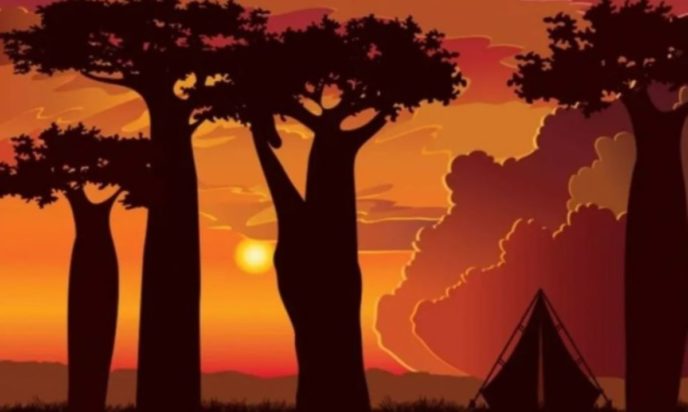 Οπτική ψευδαίσθηση: Μόνο το 1% των ανθρώπων θα βρει την καμηλοπάρδαλη σε 7 δευτερόλεπτα