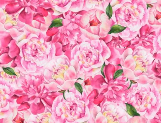 Οπτική ψευδαίσθηση: Μόνο αν είσαι ο Σέρλοκ Χολμς θα βρεις την πεταλούδα σε 5 δευτερόλεπτα