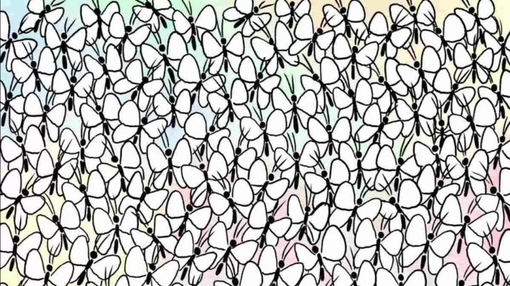 Οπτική ψευδαίσθηση: Μόνο το 3% των ανθρώπων θα βρει το μυρμήγκι σε 7 δευτερόλεπτα