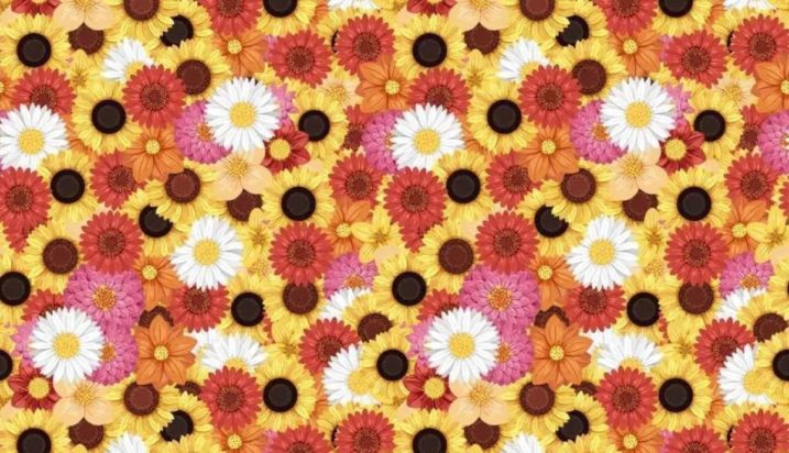 Οπτική ψευδαίσθηση: Μόνο αν είσαι ο Σέρλοκ Χολμς θα βρεις την μέλισσα σε 6 δευτερόλεπτα