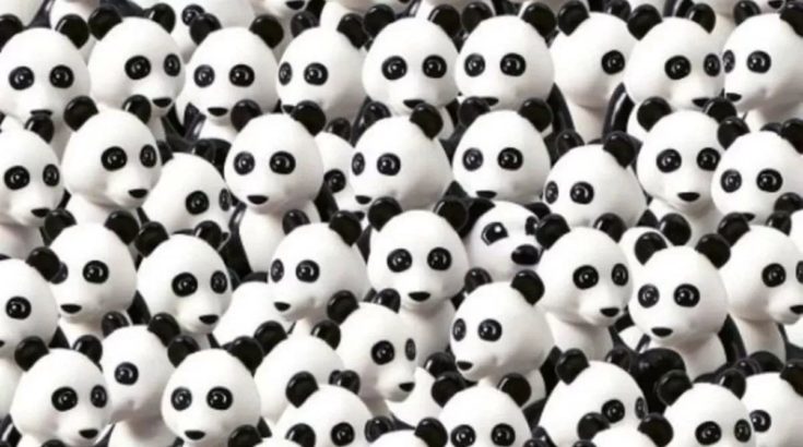 Οπτική ψευδαίσθηση: Μόνο αν έχεις αετίσια ματιά θα βρεις τον σκύλο σε 6 δευτερόλεπτα