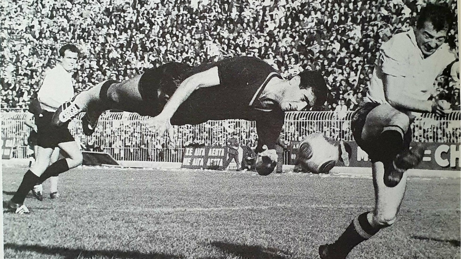 Μίμης Παπαϊωάννου