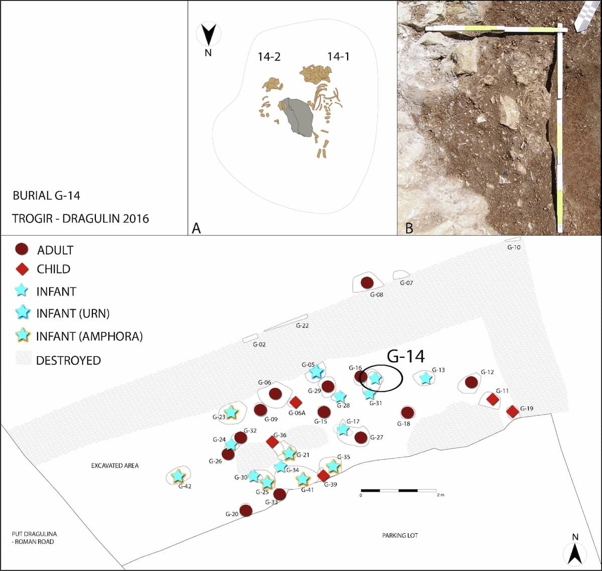 Στις (A) και (B), το άτομο 14–1 βρίσκεται στη δεξιά πλευρά, το άτομο 14 –2 στα αριστερά. Φωτογραφία: L. Paraman / TCM