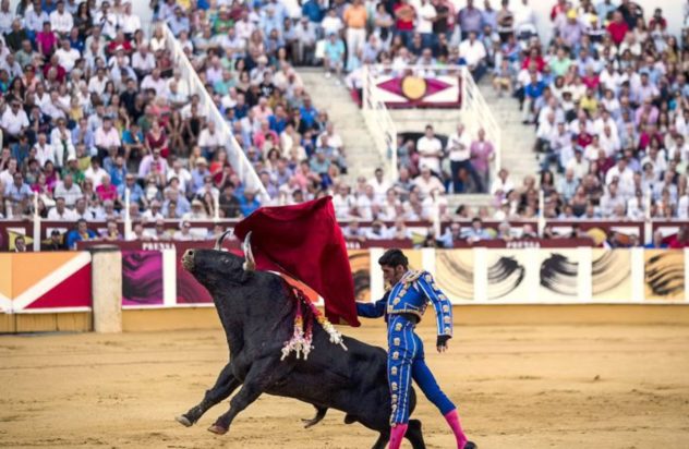 ταυρομαχίες ταύρος