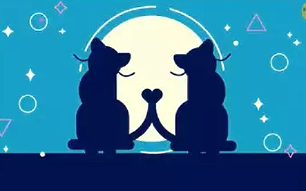 Τεστ προσωπικότητας: Αυτό που βλέπετε πρώτο στην εικόνα αποκαλύπτει αν είστε ρομαντικοί ή αν παίρνετε τη ζωή πολύ σοβαρά