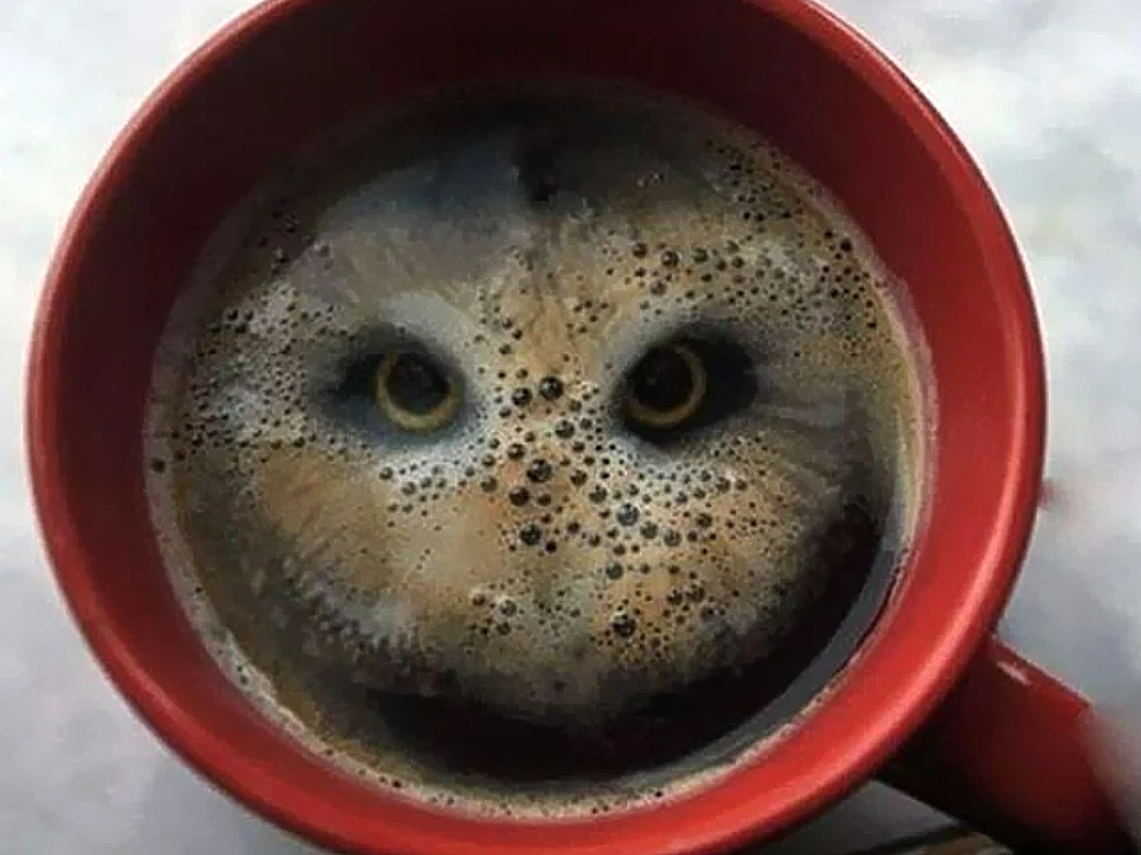 Τεστ προσωπικότητας: Αυτό που βλέπετε πρώτα στην εικόνα αποκαλύπτει αν είστε διορατικός ή ρεαλιστής