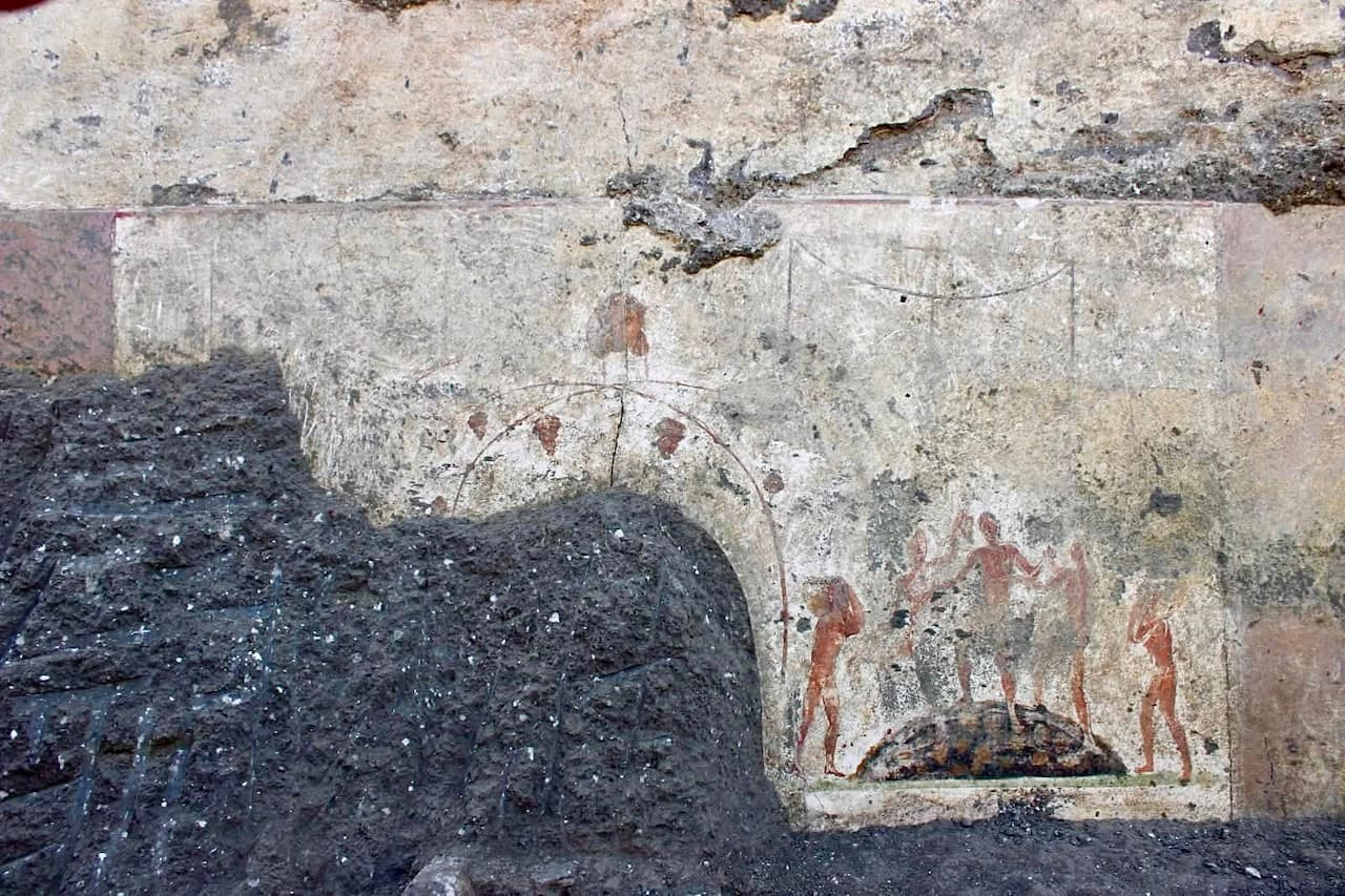 Ζωγραφιές που απεικονίζουν σκηνές τρύγου, οι οποίες αποκαλύφθηκαν στην έπαυλη Cuomo νοτιοανατολικά της Πομπηίας. Φωτογραφία: Soprintendenza ABAP per l'Area Metropolitana di Napoli