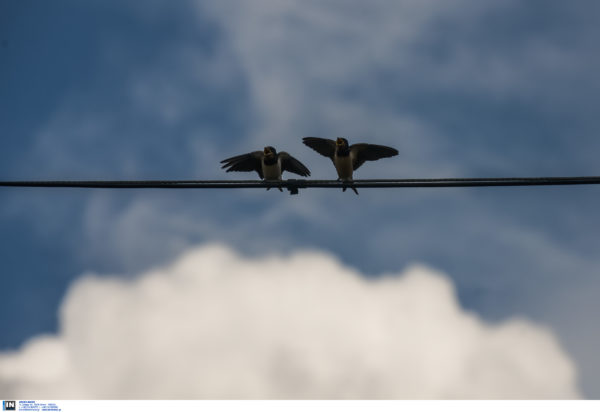 ΚΑΙΡΟΣ ΠΑΣΧΑ