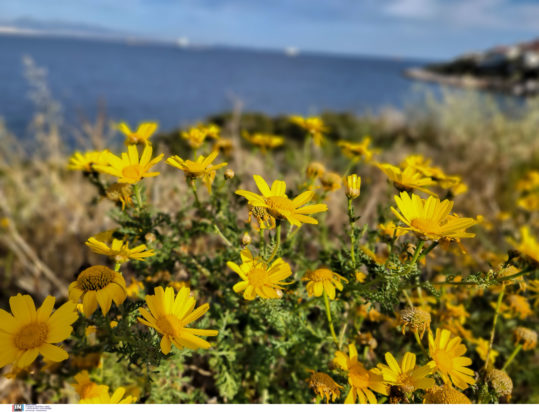 ΚΑΙΡΟΣ ΠΑΣΧΑ