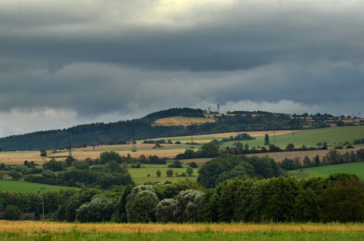 Ο δασωμένος λόφος όπου βρέθηκε ο θησαυρός.