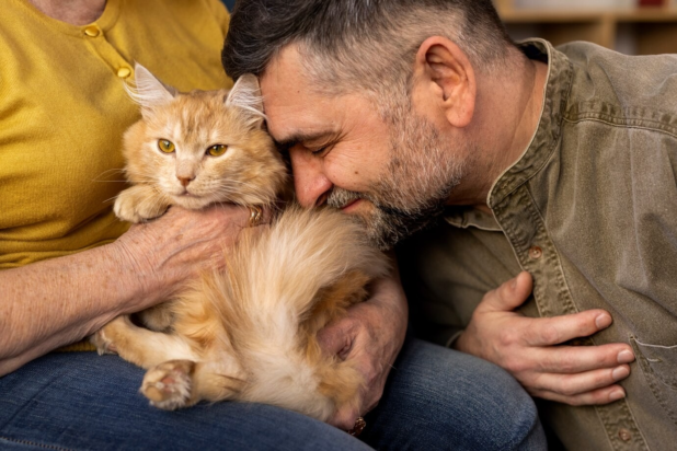 "Ο 33 ετών σύντροφός μου μένει με τους γονείς του σ' ένα σπίτι που βρωμάει από τις γάτες - δεν έχει σκοπό να μετακομίσει ποτέ". Φωτογραφία: Freepik