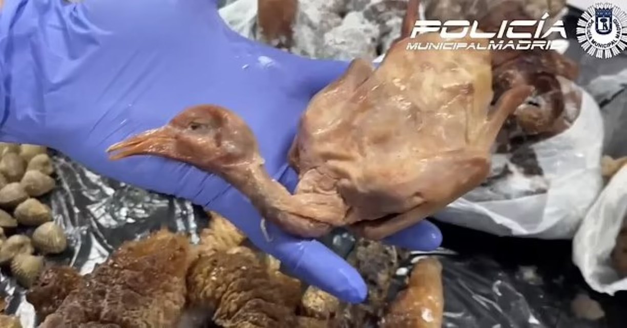 Βίντεο-σοκ: Κινέζικο εστιατόριο σέρβιρε… ψητά περιστέρια του δρόμου ως πάπιες