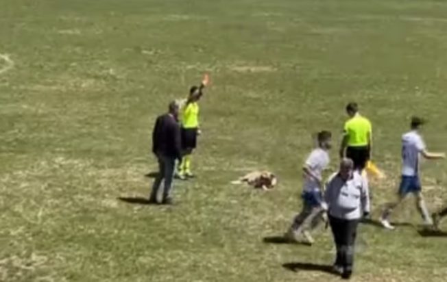 ΔΙΑΙΤΗΤΗΣ ΣΚΥΛΟΣ