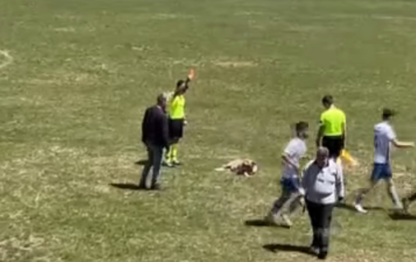 ΔΙΑΙΤΗΤΗΣ ΣΚΥΛΟΣ