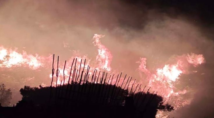 ΦΩΤΙΑ ΚΕΡΑΤΕΑ