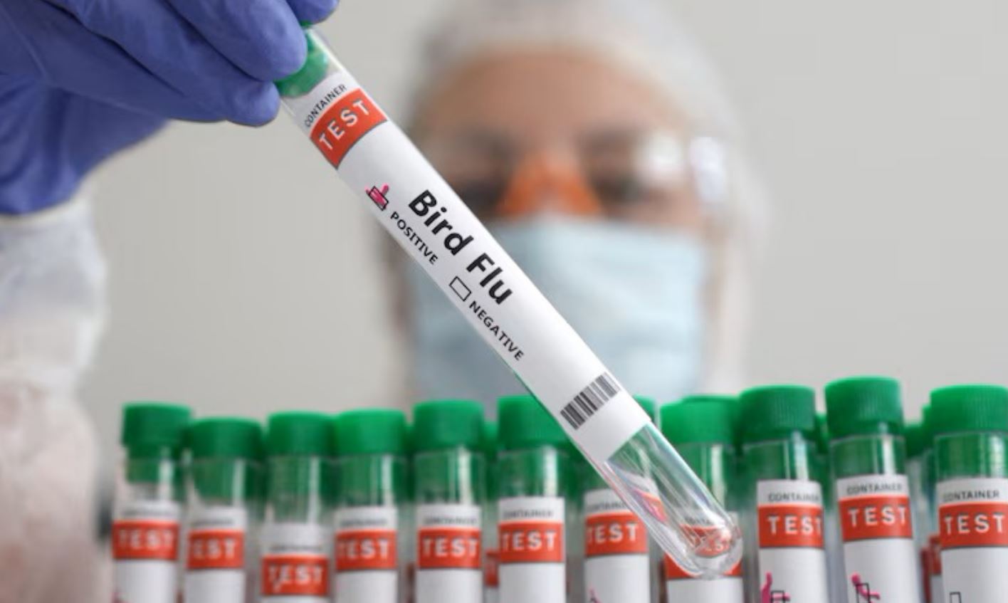 ΓΡΙΠΠΗ ΠΤΗΝΩΝ